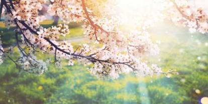 Havaya, suya ve toprağa cemre ne zaman düşecek? İşte 2026 cemre düşme tarihleri...