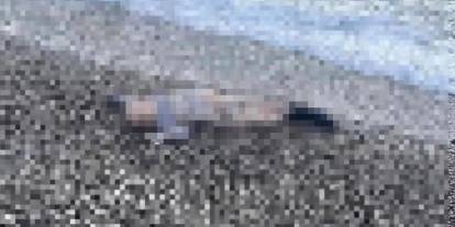 İzmir'de kahreden olay: Sahilde 5 yaşlarında çocuk cesedi bulundu