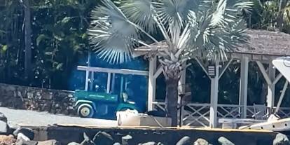 Epstein skandalında korkunç görüntüler! Epstein Adası'na gizlice girmiş