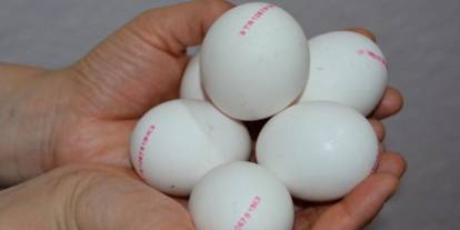 Yumurtaların üzerindeki sayılar ne anlama gelir? En doğal yumurtanın ilk numarası nedir?