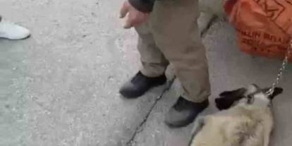 Ankara'da büyük acımasızlık: Köpeği arabanın arkasına bağladı