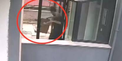 Köpeklere işkence yapan doktor hakkında tartışmalı karar: Aldığı cezaya tepki yağdı