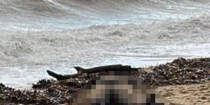 Sahilde kadın cesedi bulundu