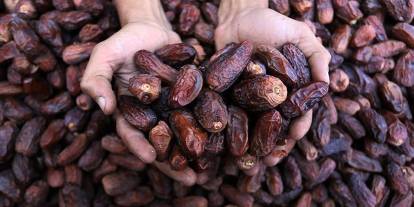 İftar sofralarının vazgeçilmezi nasıl tüketilmeli? Hurmanın faydaları saymakla bitmiyor