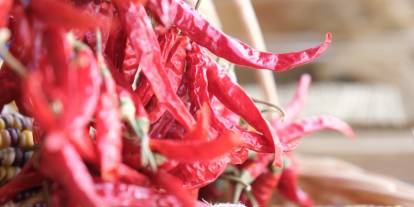 Eskişehir’in yerel tohumları Türkiye’ye dağıtılıyor