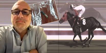 Mersin'de kesip aşevinde kavurma olarak dağıtıldı: Şampiyon atın Sahibi ilk kez konuştu