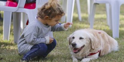 Kalbin dostu sadık dostlar: Köpek sahibi olmak ömrü uzatıyor