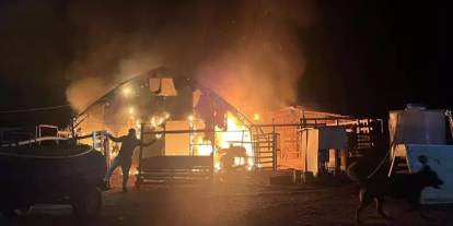 Bursa'da çiftlikte yangın faciası: 580 hayvan telef oldu