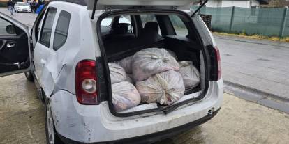 İstanbul'da korkunç manzara: 306 kilo at eti ele geçirildi