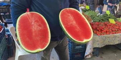 Sezonun ilk karpuzları tezgahta: İşte dilimlenerek satılan karpuzun kilogram fiyatı