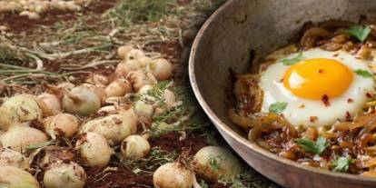 Her yemeğin vazgeçilmezi soğanın hasadı başladı: kilosu 25 TL! Osmanlı usulü soğanlı yumurta tarifi yeniden popüler oldu