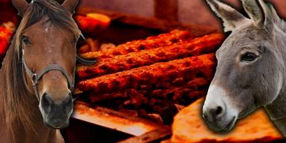 Vatandaşa at ve eşek eti yedirmişler