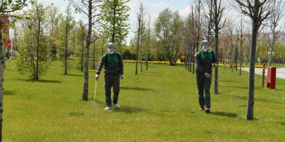 Ankara’da yaz öncesi haşereyle mücadele