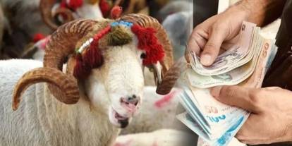 Emekli ikramiyesi eridi: 4 bin TL ile artık kaç kilo kurbanlık alınabiliyor?