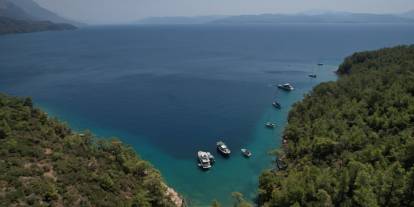 Muğla’da doğa için 288 davalık hukuki mücadele