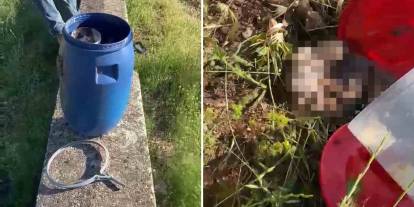 Şanlıurfa'da mezarlıkta akılalmaz görüntü: Varil içinde hastane etiketli 21 cenin bulundu