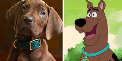 Scooby-Doo dizisi geliyor: Gerçek bir köpek oynayacak