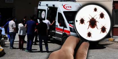 İzmir Devlet Hastanesi'nde 45 gündür çözülemeyen kabus: Kanser ve palyatif hastaları tahtakurularına teslim edildi