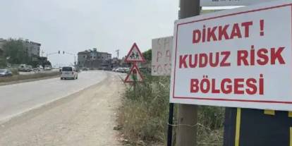 Van'da kuduz alarmı! 7 mahalle karantinaya alındı
