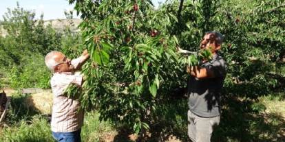 Hasadı başladı, üretici zorlandı: Günlük 3 bin TL’ye çalışacak kimse bulamıyorlar