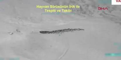 Çobanları silahla tehdit edip 800 küçükbaşı gasp eden 4 şüpheli yakalandı