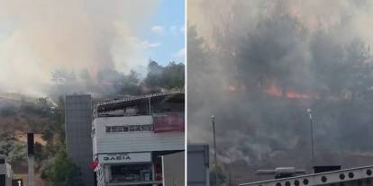 ODTÜ Ormanı'nda korkutan yangın! Alevler ağaçlara sıçradı