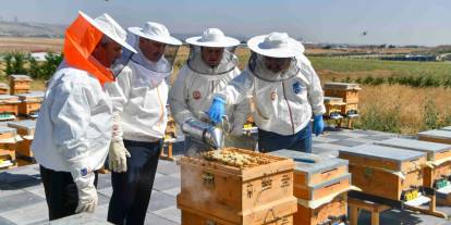 Ankara’da ATA Çiftliği’nde yılın ilk bal hasadı gerçekleştirildi