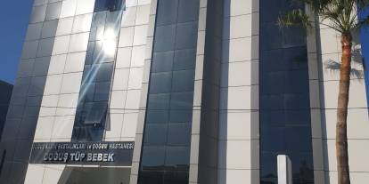 Kıbrıs'ta tüp bebek skandalı: En az 30 çocuk...