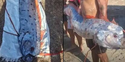 1819'daki kehanet tekrar mı ediyor? "Kıyamet Balığı" görülmesinden 6 gün sonra felaketler üst üste geldi