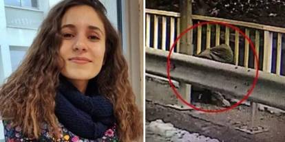 Gülistan Doku soruşturmasında 6’ncı dalga! 7 ilde eş zamanlı operasyon: 11 şüpheli hakkında işlem başlatıldı