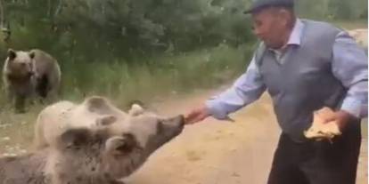 Boz ayıyı kedi gibi elleriyle besledi