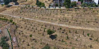İzmir’de 1,5 milyon metrekarelik alan yeşillendiriliyor