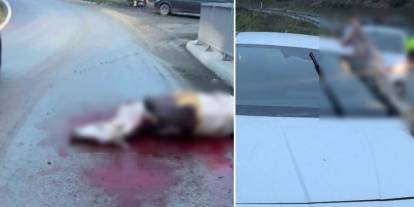Atın kopan bacağı otomobile saplandı: 3 yaralı