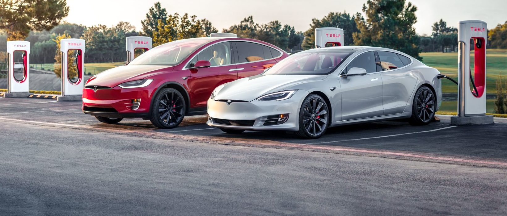 model-s-model-x-e1551457860851.jpg