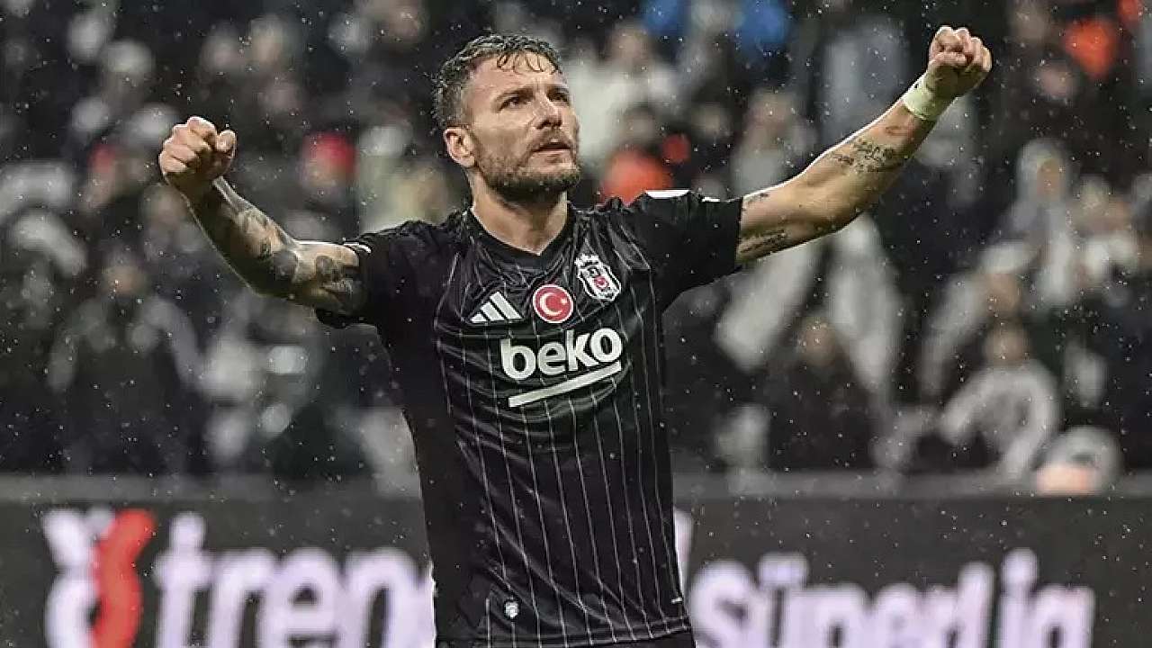 immobile1.jpg