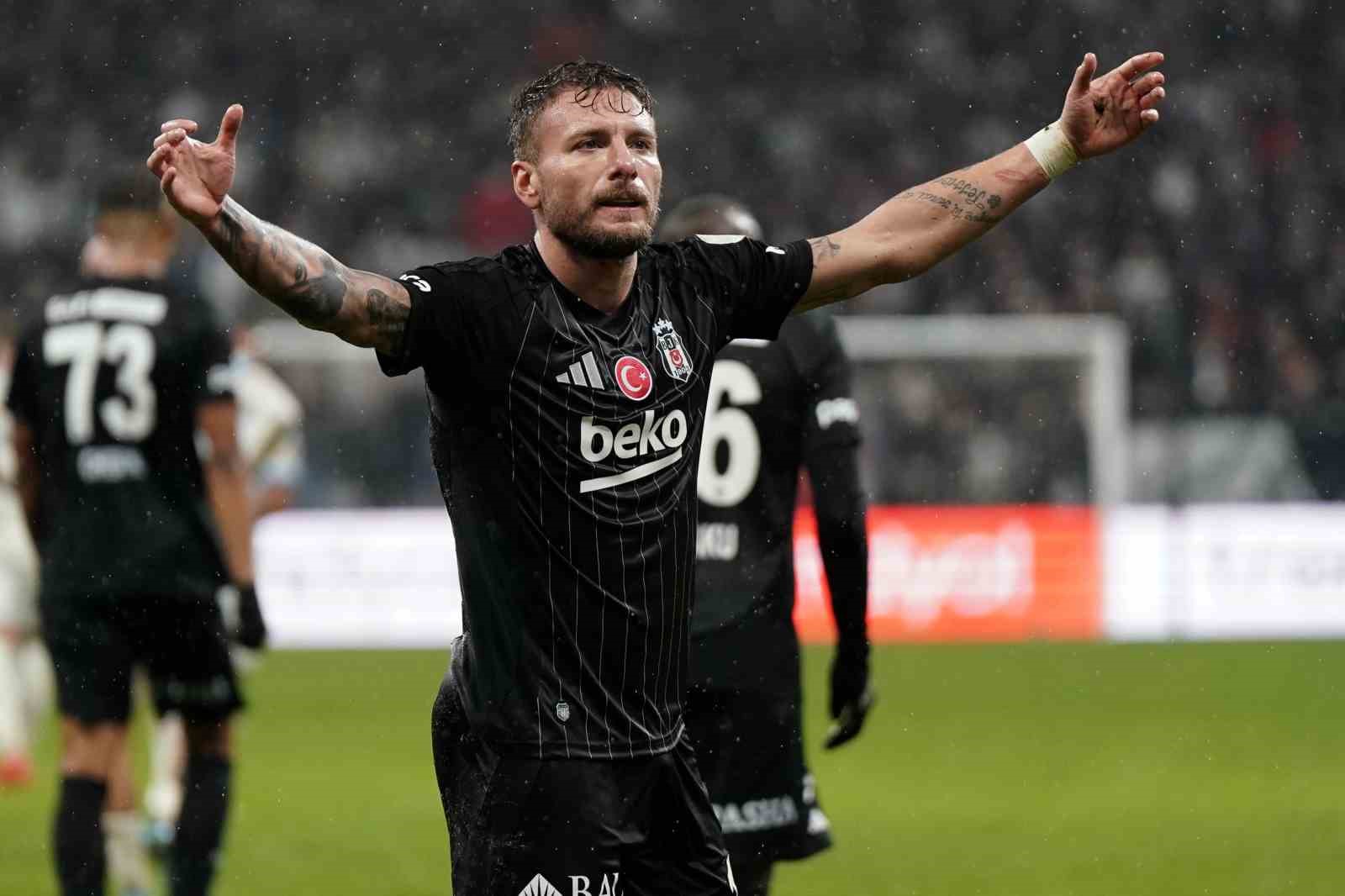 immobile2.jpg
