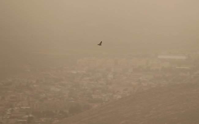 11258200.jpg