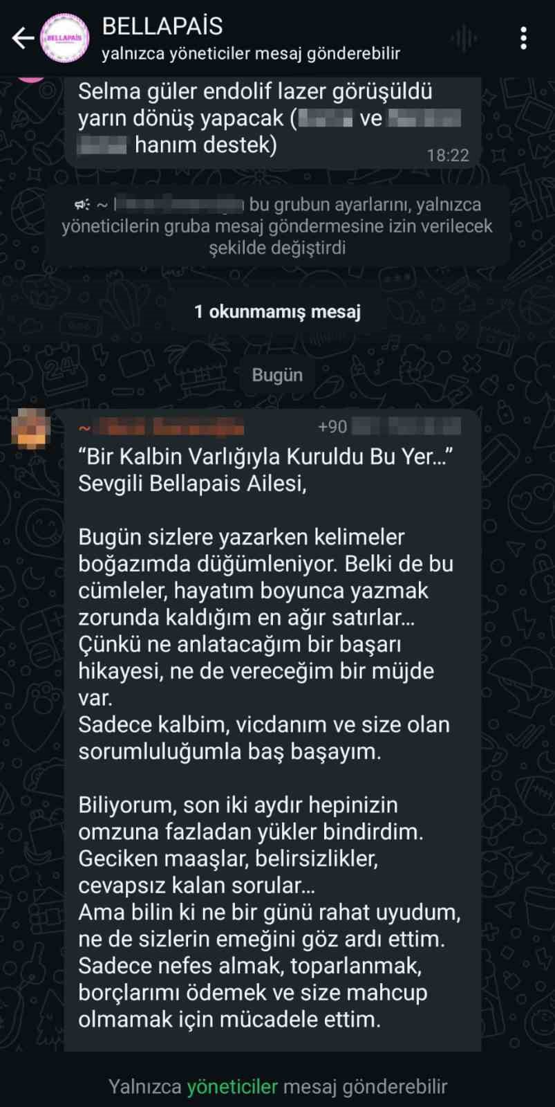 11304408.jpg