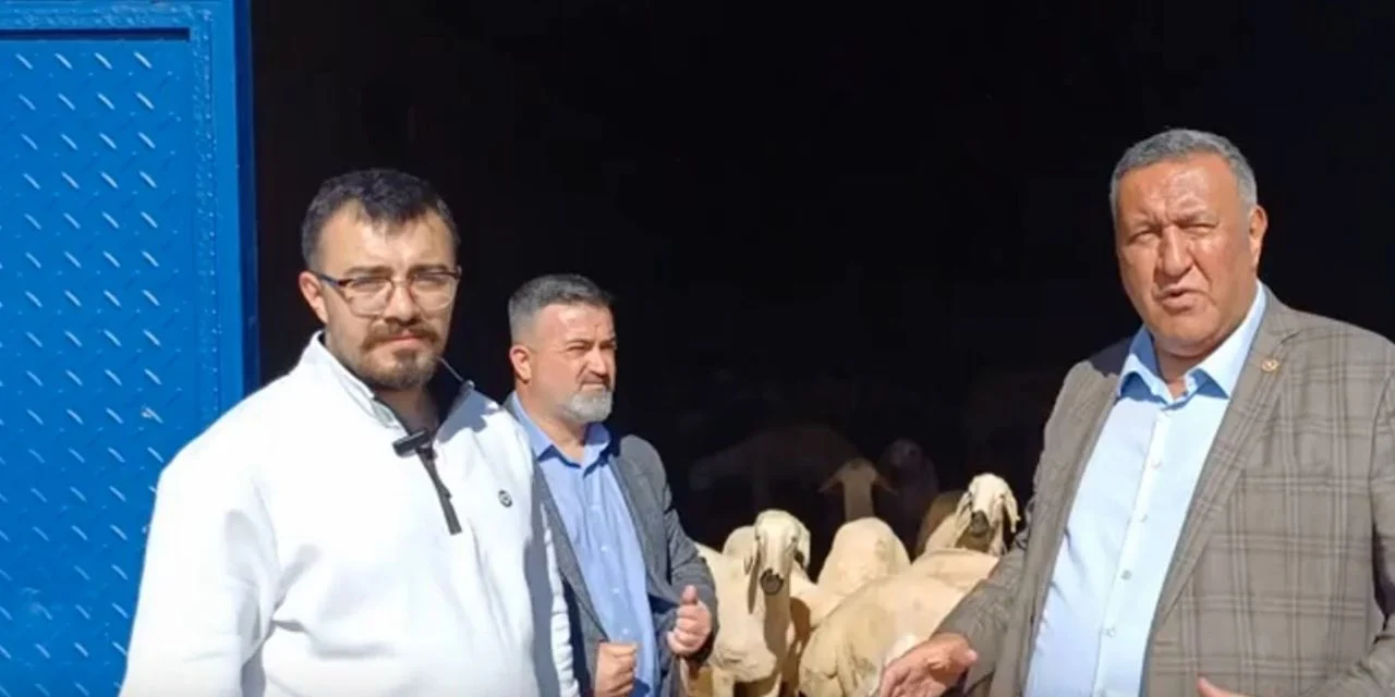 omer-fathi-gurer.png