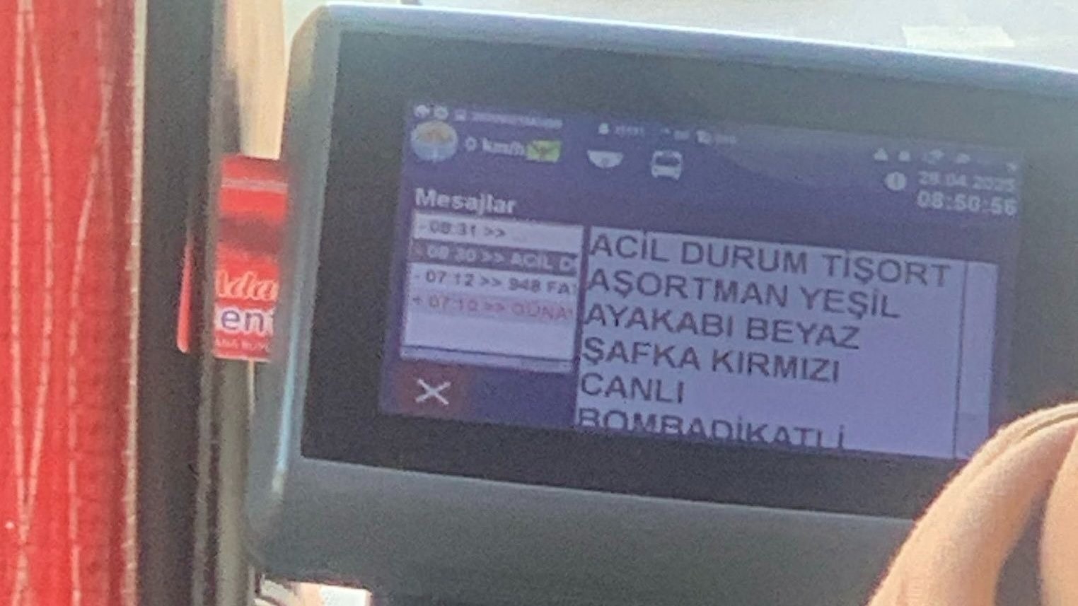 11376273.jpg