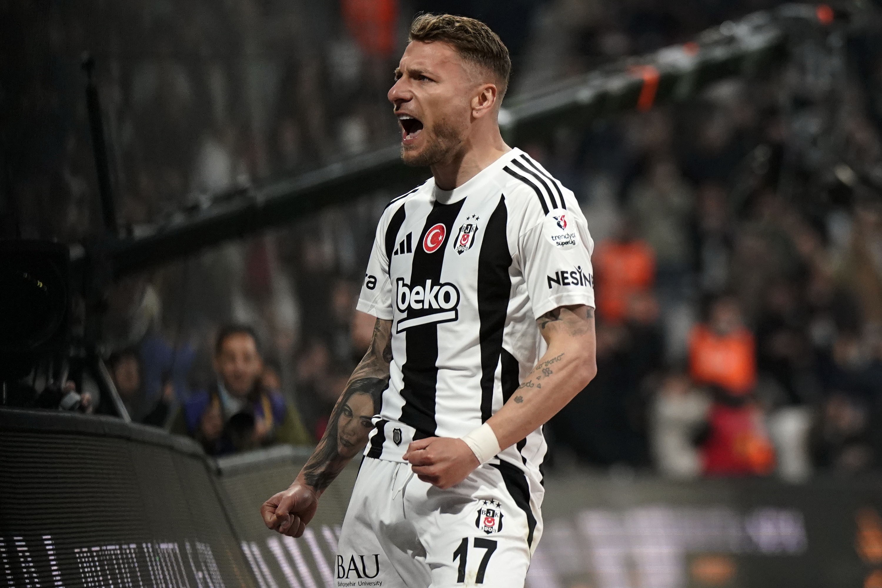 immobile.jpg