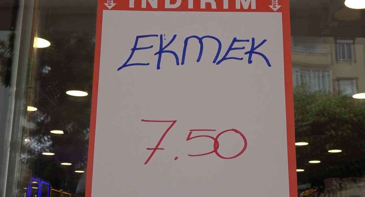 11387366.jpg