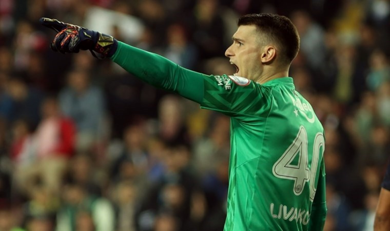 livakovic.jpg