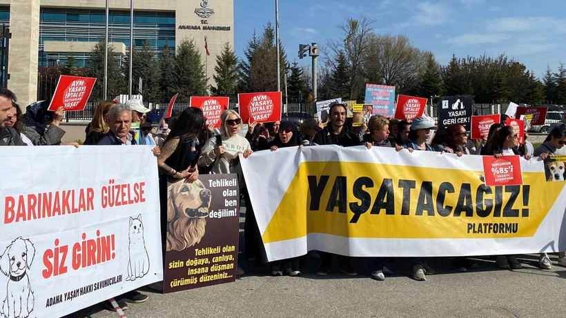 aym-hayvan-katliamina-devam-dedi-iptal-istemini-reddetti-rdka.webp