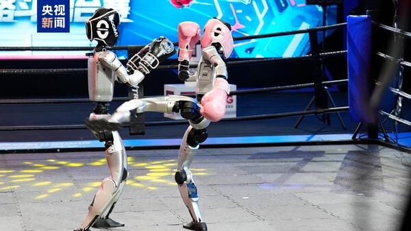 robot-boks1.jpg