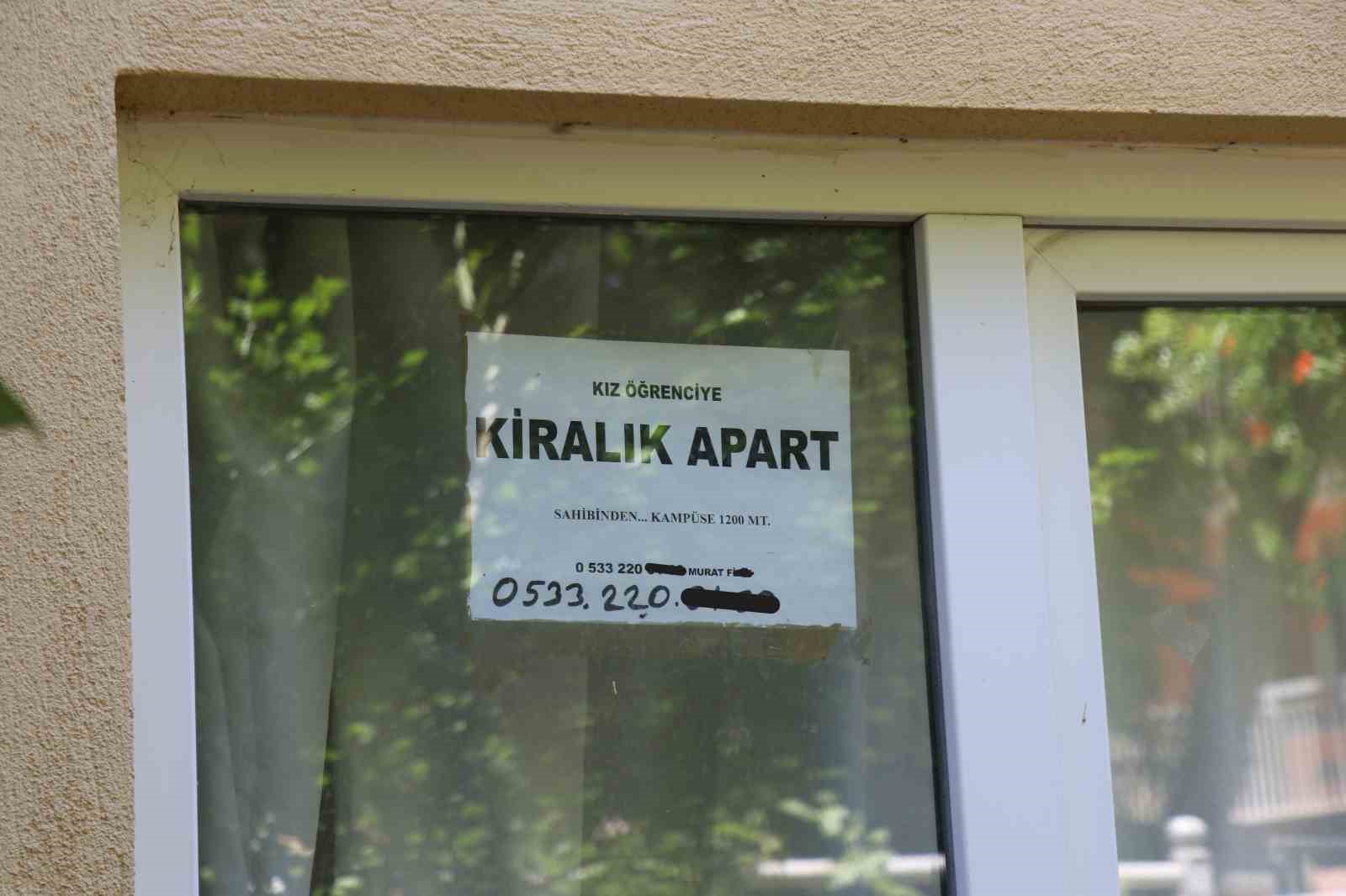 11554877.jpg