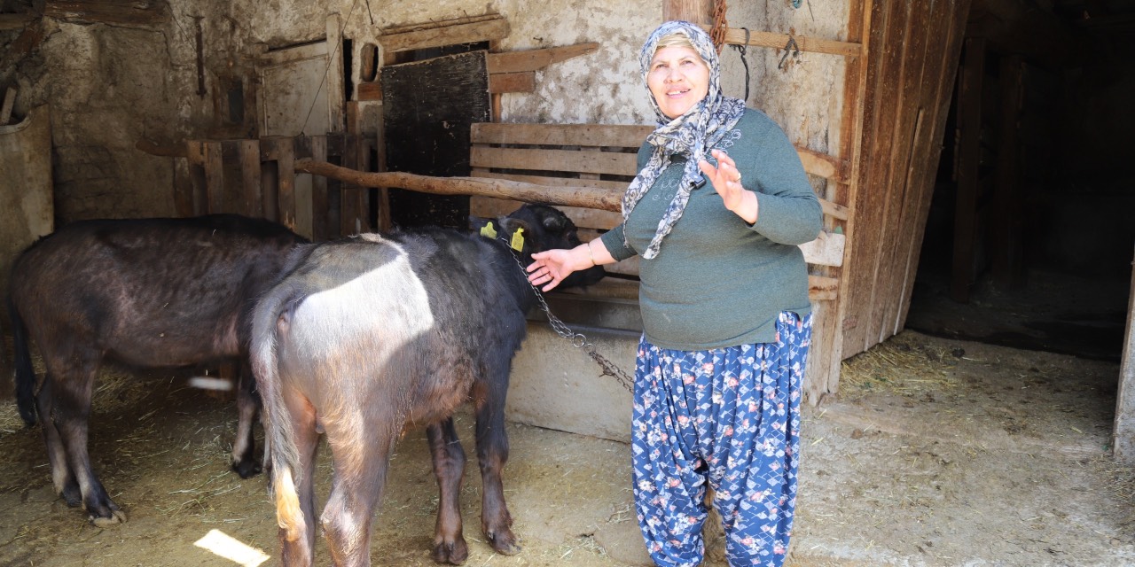 yeni-proje-21.jpg