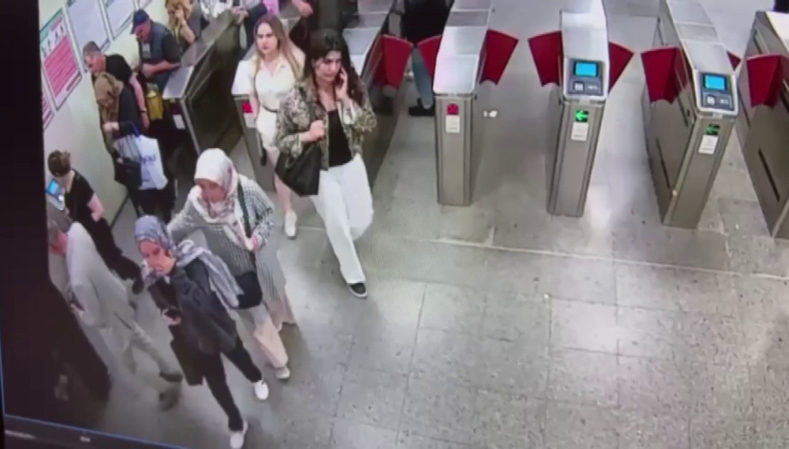 11592942.jpg