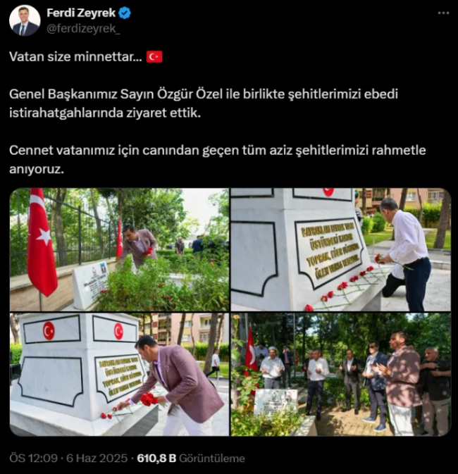 ferdizeyrek.png
