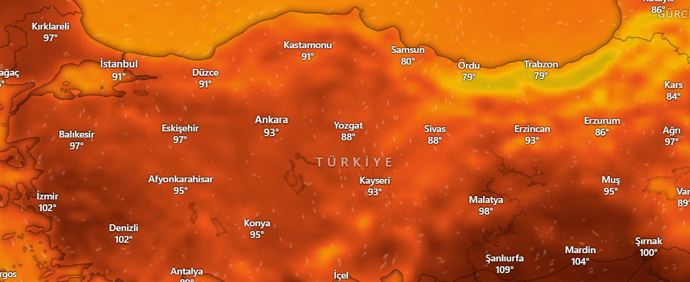 ekran-goruntusu-2025-07-18-165921.png